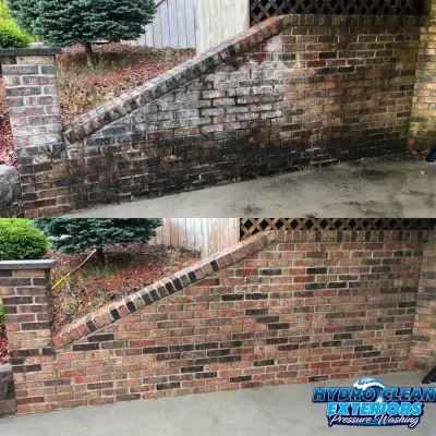 Before and after Brick Cleaning image