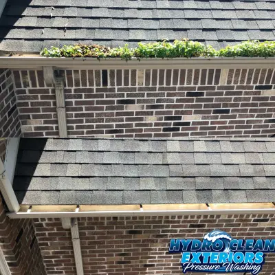 Before and after Gutter Cleaning image
