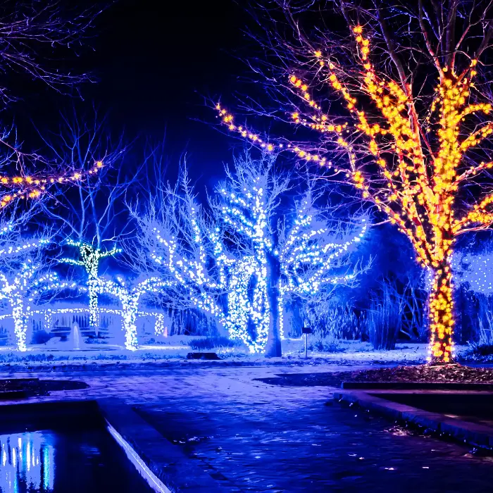 Professional Christmas Light Installation image 1