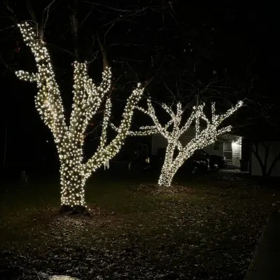 Professional Christmas Light Installation image 2