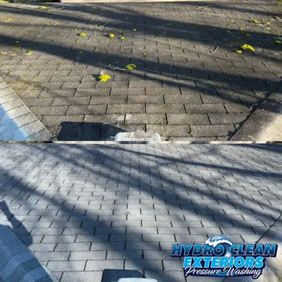 Roof Cleaning image 1