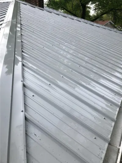 After Roof Cleaning Image