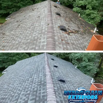 Before and after Roof Cleaning image